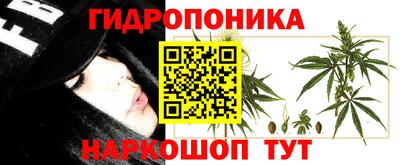jwh Пенза