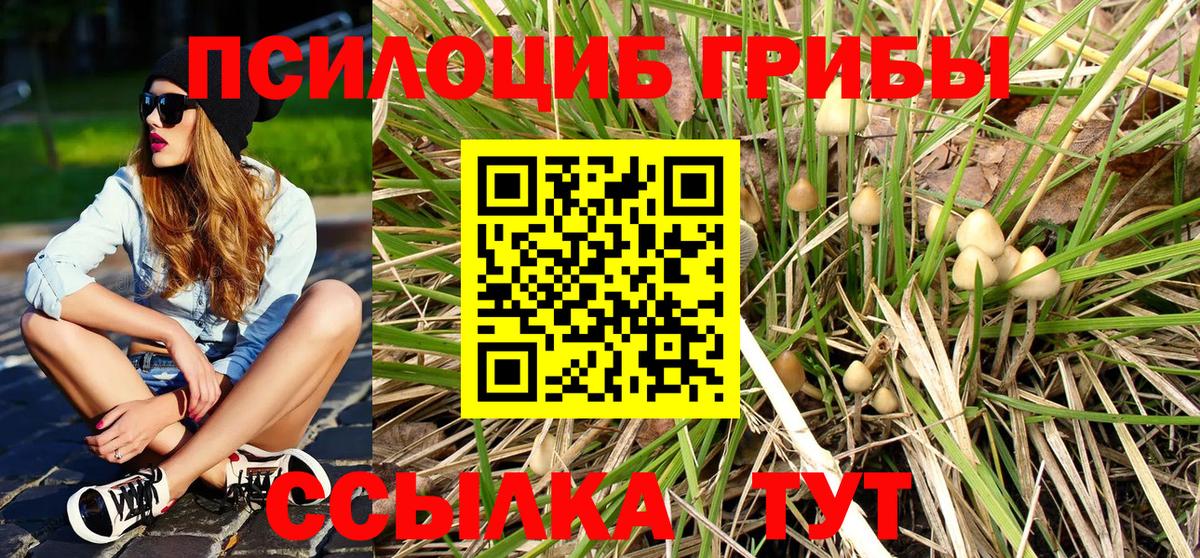 Псилоцибиновые грибы ЛСД  Вход с VPN  продажа наркотиков  Полысаево 